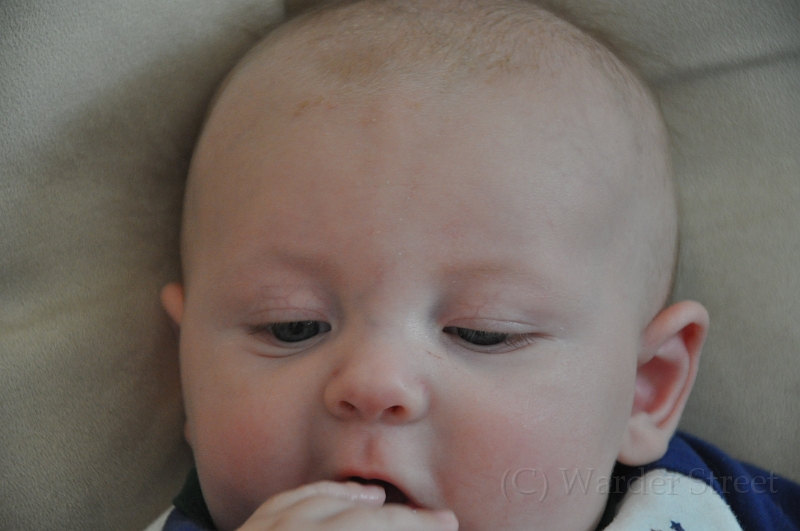 William's Fourteenth Week 04.jpg